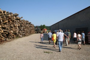 Formation Bois énergie juillet 2015 (2)