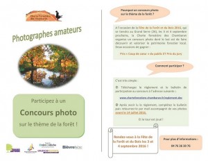 Concours photo forêt