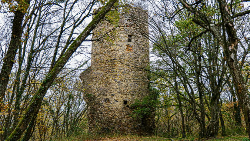 5. Simon GRASS - La Tour de Montléans